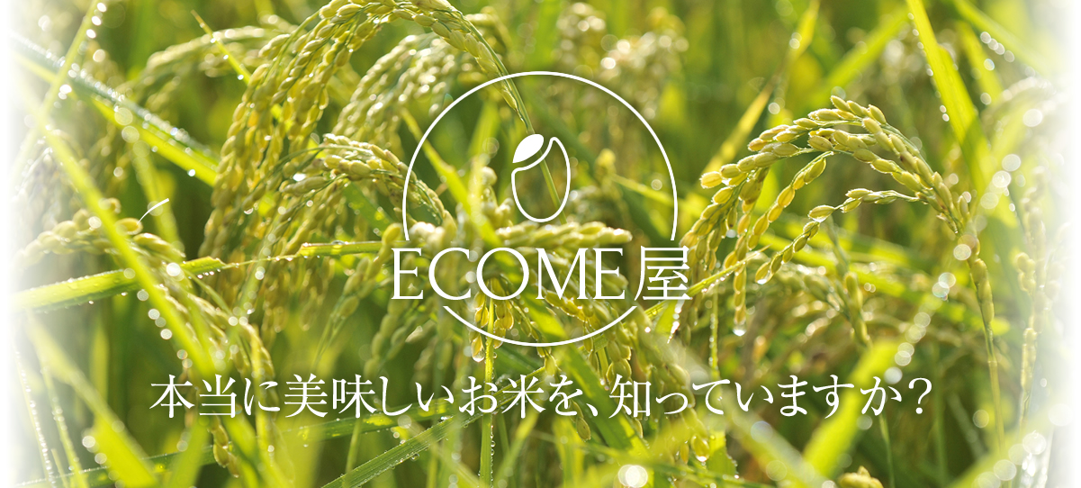 ECOME屋 本当においしいお米を、知っていますか？